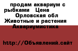 продам аквариум с рыбками › Цена ­ 12 000 - Орловская обл. Животные и растения » Аквариумистика   